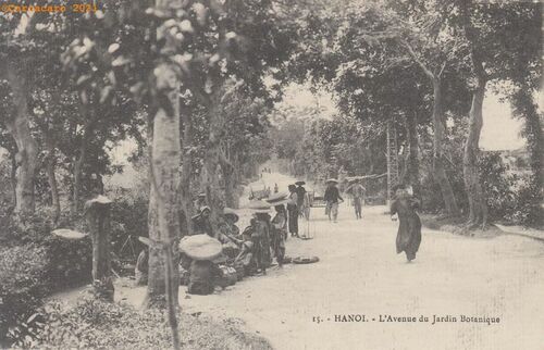 Tonkin - Hanoi - avenue du jardin botanique - <br> GMR 15 - Grands Magasins Réunis @2146 #4249