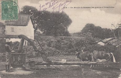 2293 @422 - A Geo -Tonkin - Moulin à écraser le grain - Planté 215 - L'album de Georges