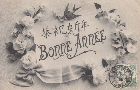 #2313 @431 - Cochinchine - Vœux - Bonne année 1909 - Inconnu - L'album de Georges 