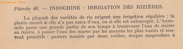 1946 AGFO. 46 Irrigation des rizières - #3481