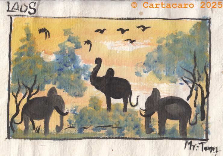 Laos - 2025 - Teng Rattana Eléphants le soir dans la brousse #5455
