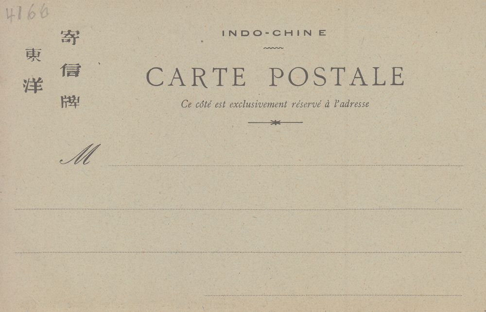 Cochinchine - Dos verdâtre i @4167 #6015