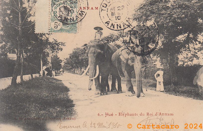 Eléphant du roi d'Annam - Pélissier