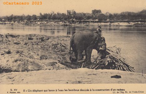 Indochine - Indochine - Eléphant qui lance des bambous Fernand Nathan 11 #5444 ©Cartacaro 5016