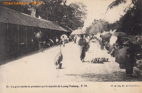 Indochine - Laos - Une grue sacrée au marché de Luang Prabang Fernand Nathan 13 #5446 ©Cartacaro 5018