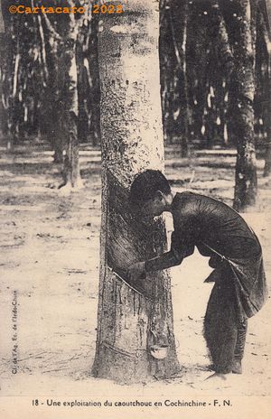 Indochine - Cochinchine - Exploitation caoutchouc Fernand Nathan 18 #5450 ©Cartacaro 5022
