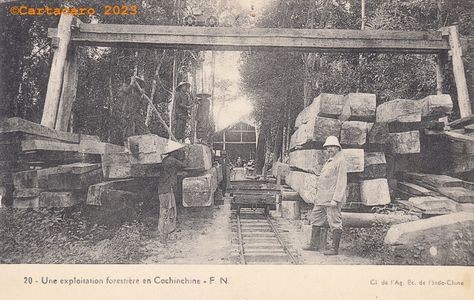 Indochine - Cochinchine - Exploitation forestière Fernand Nathan 20 #5452 ©Cartacaro 5024