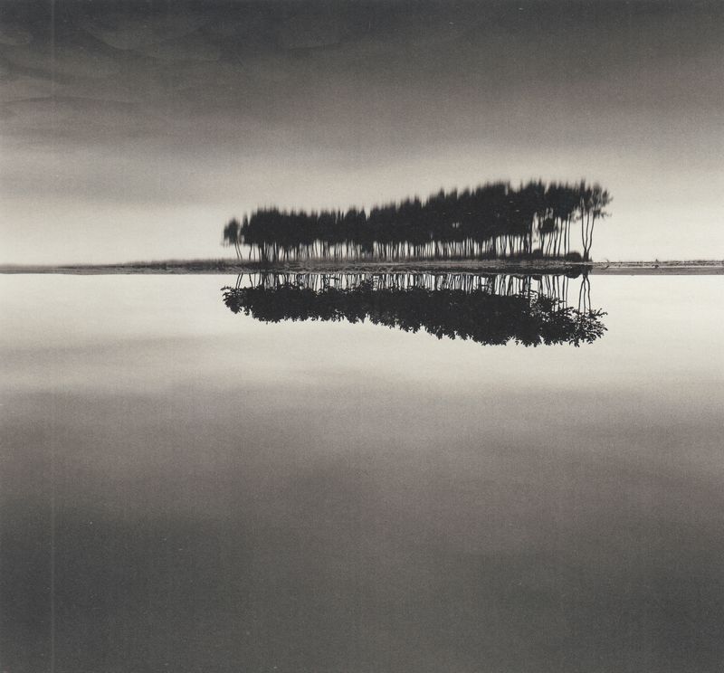 Pins, étude 1,Wolcheon Gangwon-do, Corée du Sud, 2007, #5791