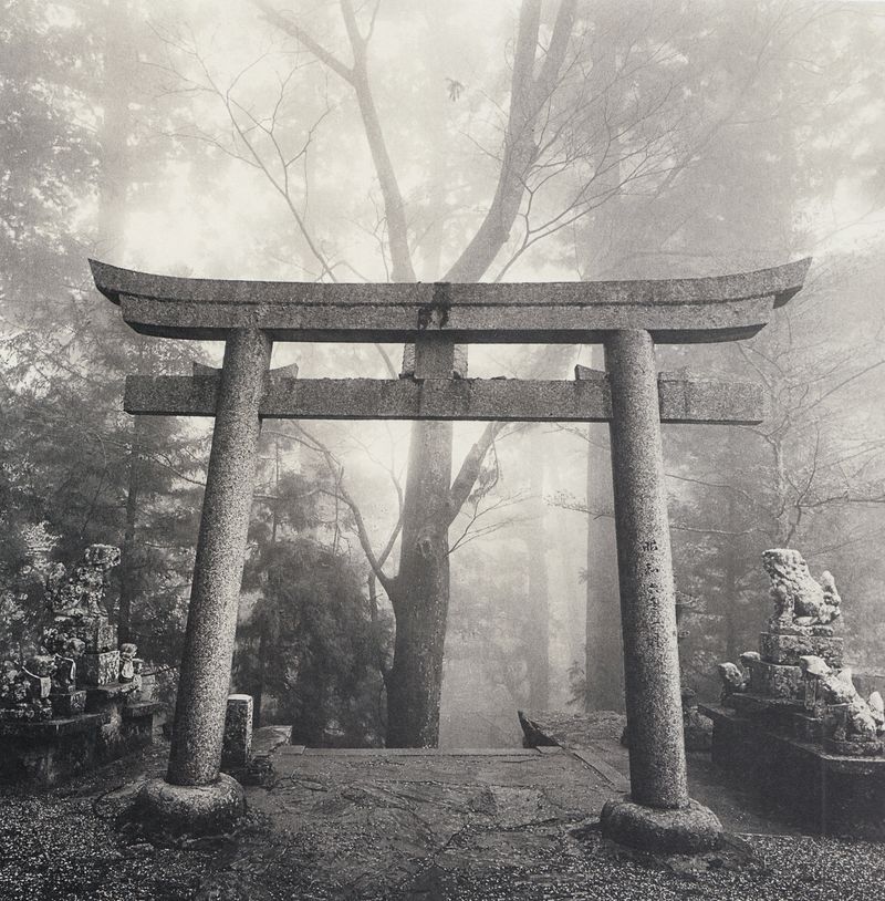 Portique torii de la foret Tokushima, Shikoku, Japon, 2010 #5786
