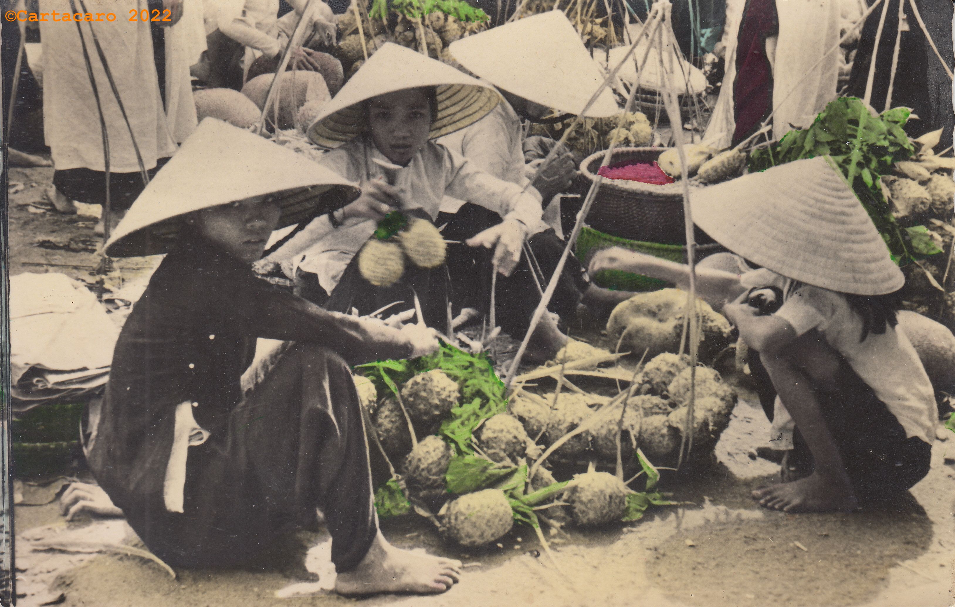 Vietnam - Marchandes de légumes Ho Dac Cao A23 @M4049 #5597