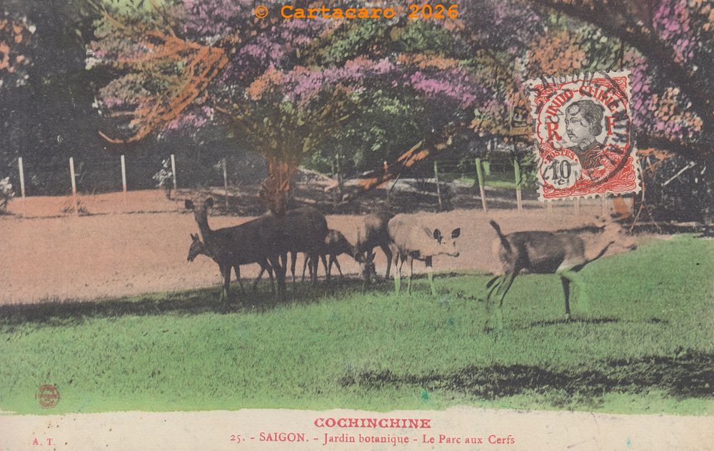 Cochinchine - Saigon - Jardin botanique Le parc aux cerfs A.T. num 25 @4abc #6586