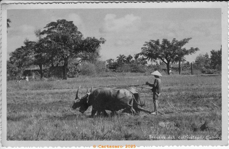 Vietnam - Gia Dinh - Travaux des cultivateurs Inconnu @M4109 #5809