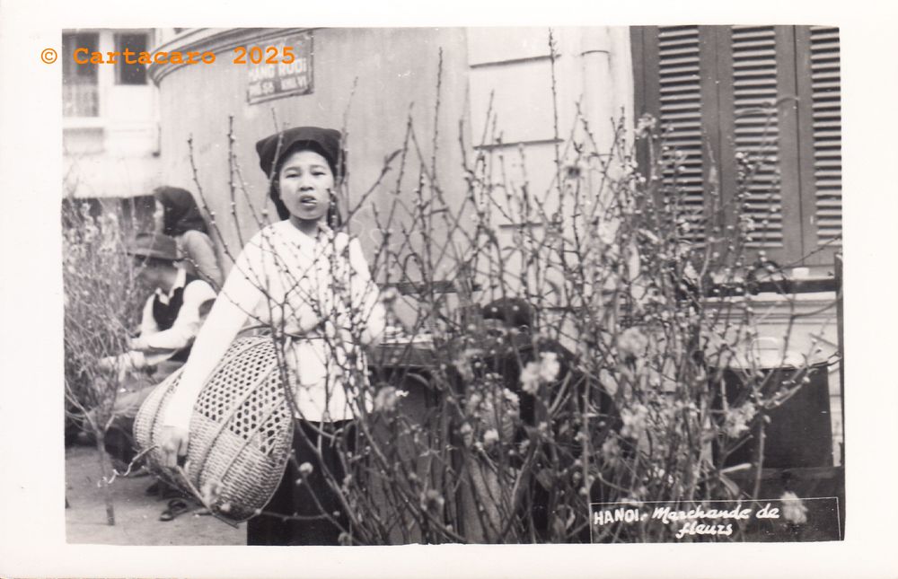  Vietnam Hanoi - marchande de fleurs Editeur inconnu - Carte écrite 1951 @M2030 #5928