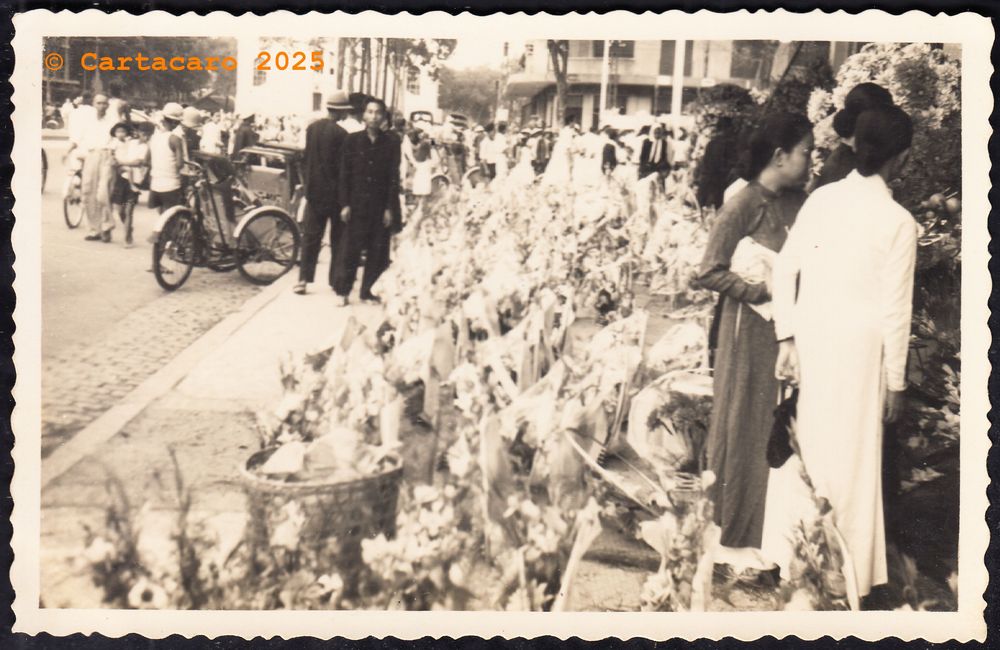 Vietnam Saigon - marché aux fleurs Editeur inconnu - carte écrite en 1950 @M4135 #5929