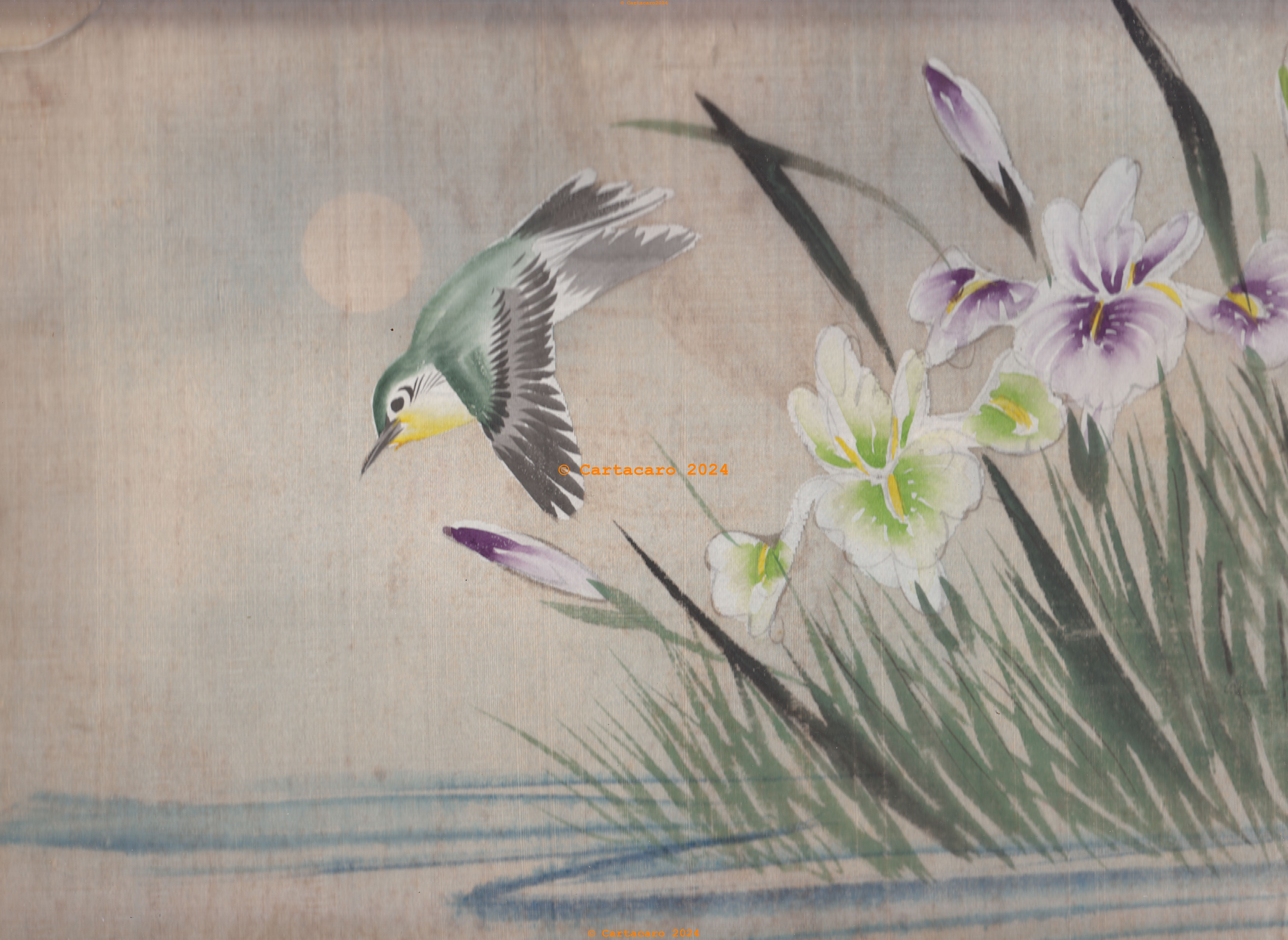 Intérieur Album - Soie peinte