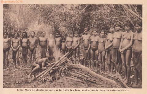 Nadal - Tribu Moïs - déplacement en forêt - #1399