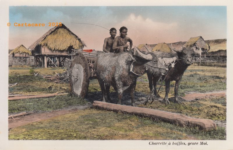 Cochinchine Charrette à buffles, genre Moï - Nam Phat 89 @M 40xx #5690