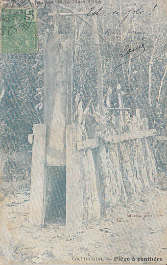 Cochinchine - Piège à panthère - Bleu métallique - 24 mars 1906 -@4215 