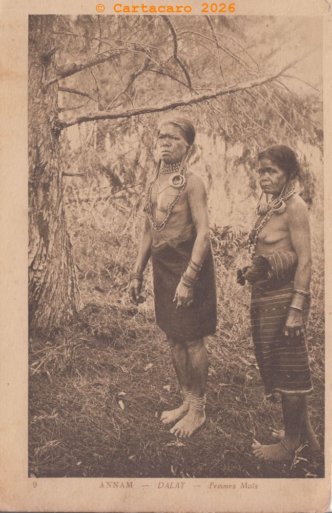 Annam - Dalat Femmes Moîs Nadal -@xxxa #6547