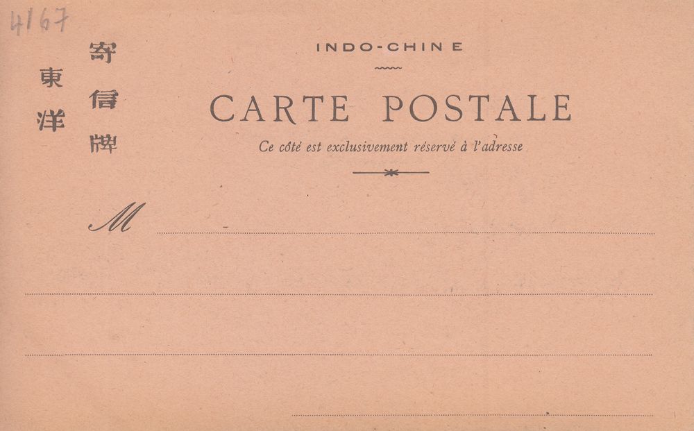 Cochinchine - Dos rose cramoisi @4167 #6020