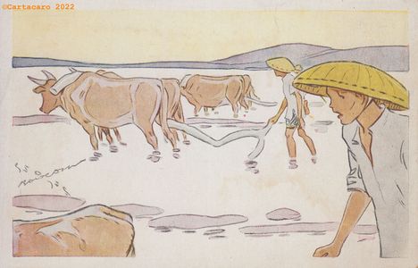 1 - Riz d'Indochine - Labourage des rizières - Bourdin @5006 #4963