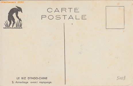 2 - Riz d'Indochine - Arrachage avant repiquage - Bourdin @5008 #4966