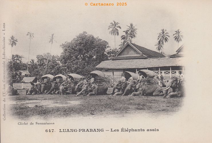 Laos - Luang Prabang Rue du Tiom-Si pavoisée Sesmaisons 630 UCI ©11059 #5511